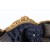 Κλασικό Σαλόνι σετ σκαλιστό με φύλλο ασημιού και ανάγλυφο ύφασμα 5 τεμ. σε μπλέ σκούρο MK-9094-ΚΛΑΣΙΚΟ ΣΑΛΟΝΙ ΣΕΤ ΜΚ-9094 